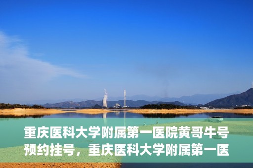 重庆医科大学附属第一医院黄哥牛号预约挂号，重庆医科大学附属第一医院黄哥牛号预约挂号攻略