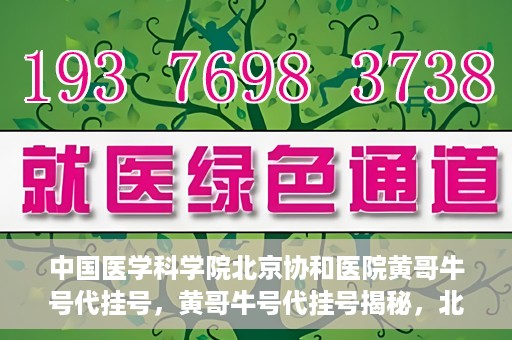 中国医学科学院北京协和医院黄哥牛号代挂号，黄哥牛号代挂号揭秘，北京协和医院挂号背后的故事
