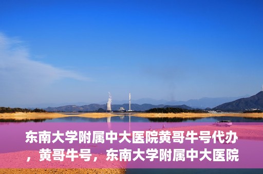东南大学附属中大医院黄哥牛号代办，黄哥牛号，东南大学附属中大医院的代办之路