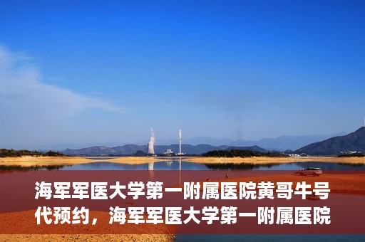 海军军医大学第一附属医院黄哥牛号代预约，海军军医大学第一附属医院黄哥预约挂号新动向，便捷代预约服务