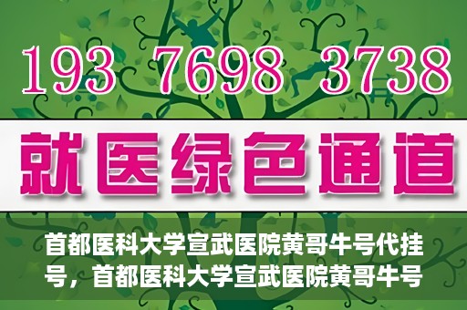 首都医科大学宣武医院黄哥牛号代挂号，首都医科大学宣武医院黄哥牛号助您轻松预约挂号