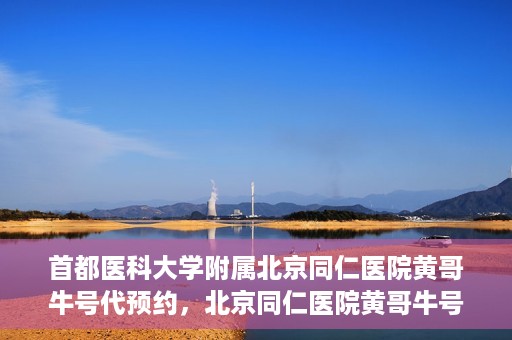 首都医科大学附属北京同仁医院黄哥牛号代预约，北京同仁医院黄哥牛号预约服务解析