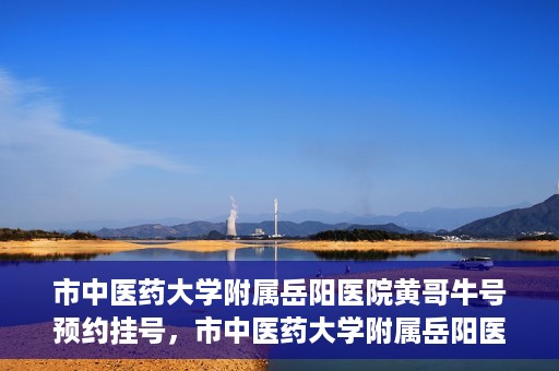 市中医药大学附属岳阳医院黄哥牛号预约挂号，市中医药大学附属岳阳医院黄哥牛号预约挂号攻略