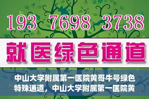 中山大学附属第一医院黄哥牛号绿色特殊通道，中山大学附属第一医院黄哥牛号，绿色特殊通道开启健康之门