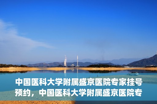 中国医科大学附属盛京医院专家挂号预约，中国医科大学附属盛京医院专家挂号预约攻略，一站式预约服务解析