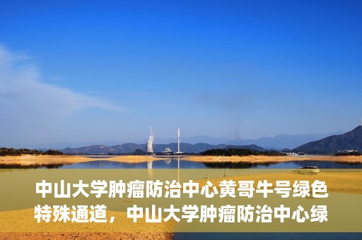 中山大学肿瘤防治中心黄哥牛号绿色特殊通道，中山大学肿瘤防治中心绿色特殊通道——黄哥牛号的守护力量