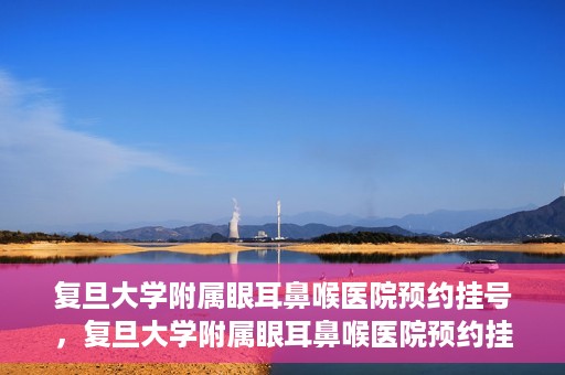 复旦大学附属眼耳鼻喉医院预约挂号，复旦大学附属眼耳鼻喉医院预约挂号攻略与指南