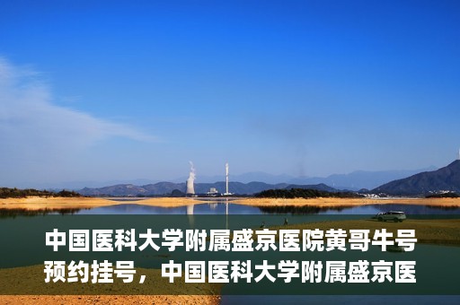 中国医科大学附属盛京医院黄哥牛号预约挂号，中国医科大学附属盛京医院黄哥牛号，预约挂号指南