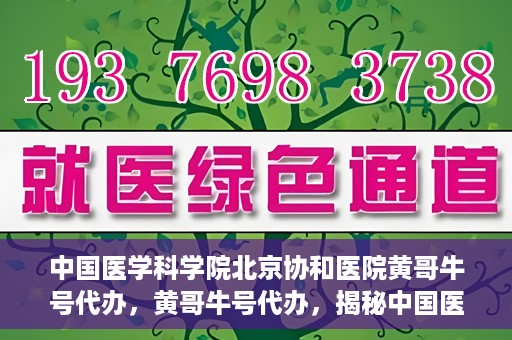中国医学科学院北京协和医院黄哥牛号代办，黄哥牛号代办，揭秘中国医学科学院北京协和医院背后的故事
