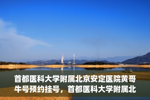 首都医科大学附属北京安定医院黄哥牛号预约挂号，首都医科大学附属北京安定医院黄哥牛号预约挂号指南