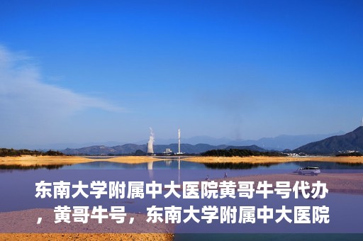 东南大学附属中大医院黄哥牛号代办，黄哥牛号，东南大学附属中大医院的代办之路