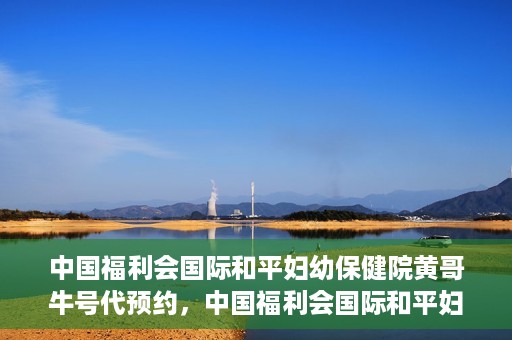 中国福利会国际和平妇幼保健院黄哥牛号代预约，中国福利会国际和平妇幼保健院预约挂号新动向，黄哥牛号代预约服务启动