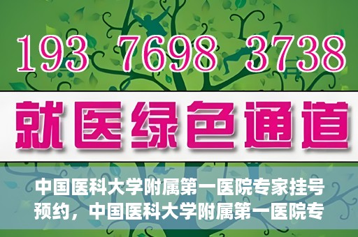 中国医科大学附属第一医院专家挂号预约，中国医科大学附属第一医院专家挂号预约攻略，一站式解决您的就医难题