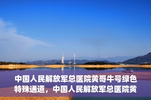 中国人民解放军总医院黄哥牛号绿色特殊通道，中国人民解放军总医院黄哥牛号，绿色特殊通道开启健康之门