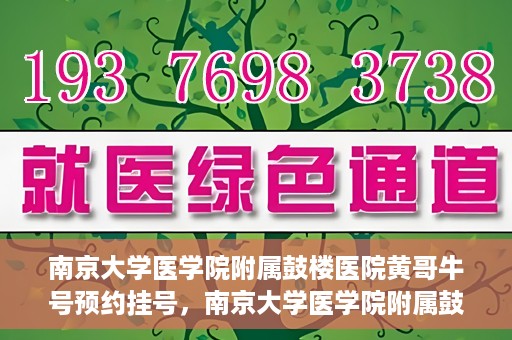 南京大学医学院附属鼓楼医院黄哥牛号预约挂号，南京大学医学院附属鼓楼医院黄哥牛号预约挂号攻略解析