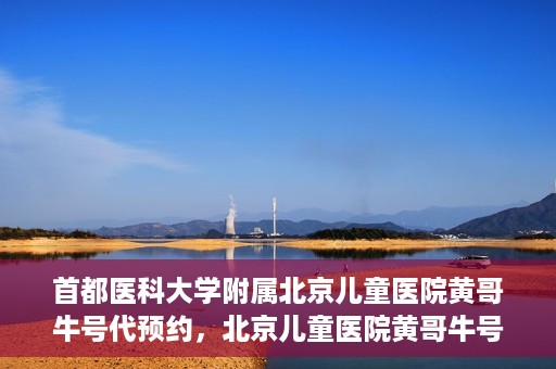 首都医科大学附属北京儿童医院黄哥牛号代预约，北京儿童医院黄哥牛号预约服务，专业便捷的健康守护使者