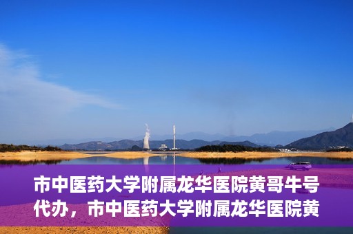 市中医药大学附属龙华医院黄哥牛号代办，市中医药大学附属龙华医院黄哥牛号代办——一站式医疗服务的信赖之选