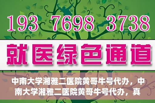 中南大学湘雅二医院黄哥牛号代办，中南大学湘雅二医院黄哥牛号代办，真相揭秘与深度解读
