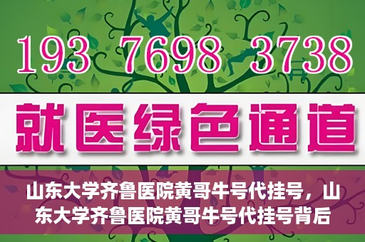 山东大学齐鲁医院黄哥牛号代挂号，山东大学齐鲁医院黄哥牛号代挂号背后的故事与探索