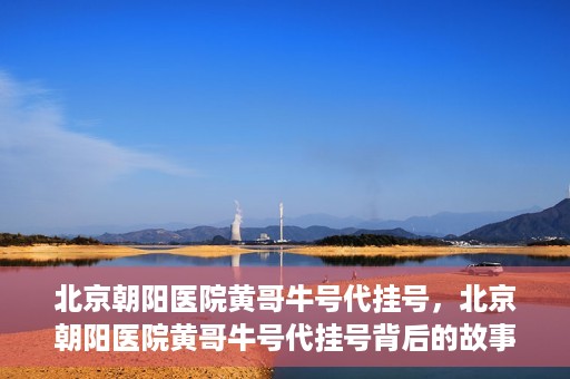 北京朝阳医院黄哥牛号代挂号，北京朝阳医院黄哥牛号代挂号背后的故事揭秘