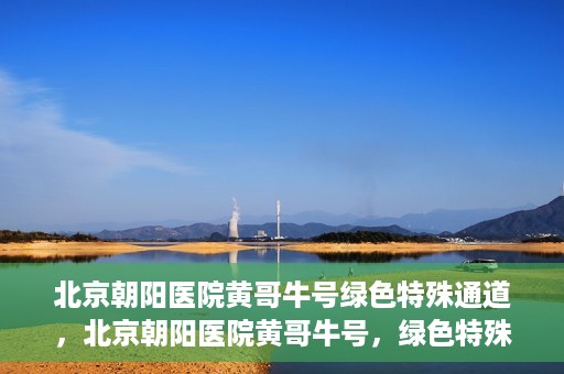 北京朝阳医院黄哥牛号绿色特殊通道，北京朝阳医院黄哥牛号，绿色特殊通道开启健康之门