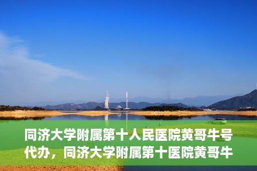 同济大学附属第十人民医院黄哥牛号代办，同济大学附属第十医院黄哥牛号预约代办服务解析