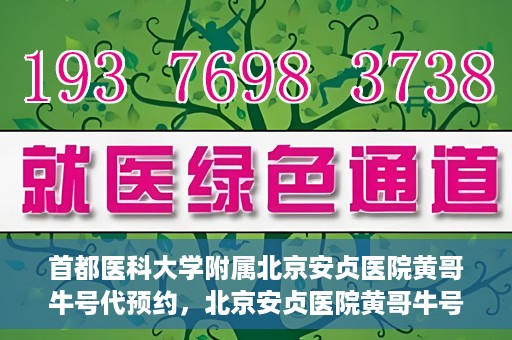 首都医科大学附属北京安贞医院黄哥牛号代预约，北京安贞医院黄哥牛号预约服务解析