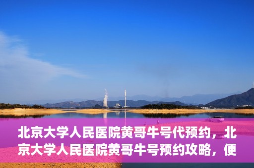 北京大学人民医院黄哥牛号代预约，北京大学人民医院黄哥牛号预约攻略，便捷代预约服务解析