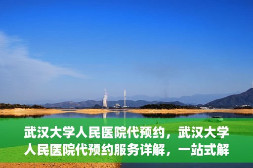 武汉大学人民医院代预约，武汉大学人民医院代预约服务详解，一站式解决您的就医难题