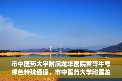 市中医药大学附属龙华医院黄哥牛号绿色特殊通道，市中医药大学附属龙华医院黄哥牛号，绿色特殊通道，健康为民服务