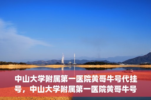 中山大学附属第一医院黄哥牛号代挂号，中山大学附属第一医院黄哥牛号助您解决挂号难题