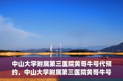 中山大学附属第三医院黄哥牛号代预约，中山大学附属第三医院黄哥牛号预约攻略，轻松解决挂号难题