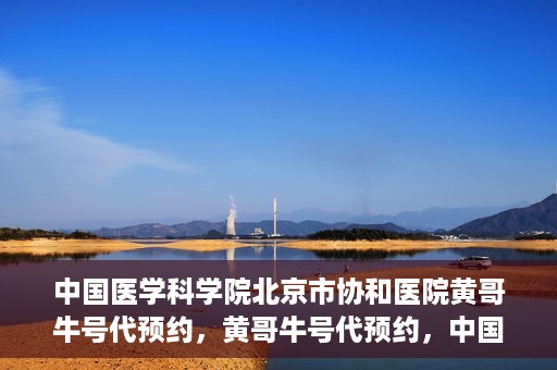 中国医学科学院北京市协和医院黄哥牛号代预约，黄哥牛号代预约，中国医学科学院北京市协和医院挂号新途径探索