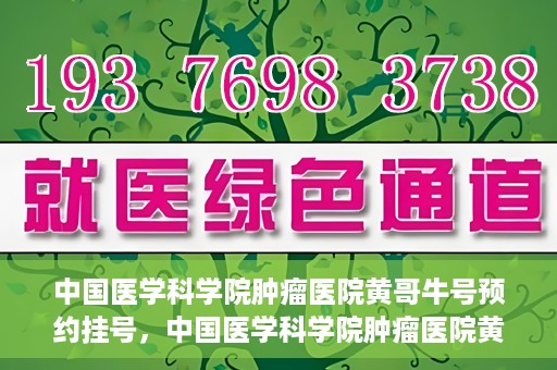 中国医学科学院肿瘤医院黄哥牛号预约挂号，中国医学科学院肿瘤医院黄哥牛号预约挂号攻略，一站式解决您的挂号难题