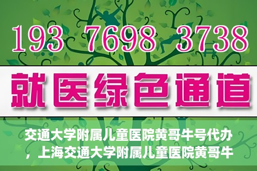 交通大学附属儿童医院黄哥牛号代办，上海交通大学附属儿童医院黄哥牛号代办揭秘，真相与警示