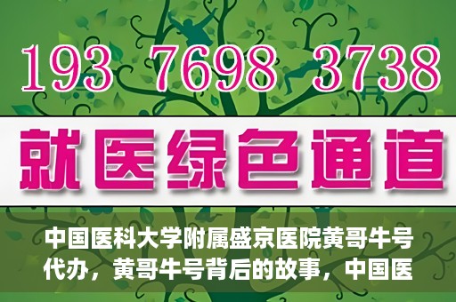 中国医科大学附属盛京医院黄哥牛号代办，黄哥牛号背后的故事，中国医科大学附属盛京医院的信赖之选