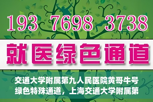 交通大学附属第九人民医院黄哥牛号绿色特殊通道，上海交通大学附属第九人民医院黄哥牛号，绿色特殊通道开启健康之门