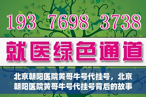 北京朝阳医院黄哥牛号代挂号，北京朝阳医院黄哥牛号代挂号背后的故事揭秘