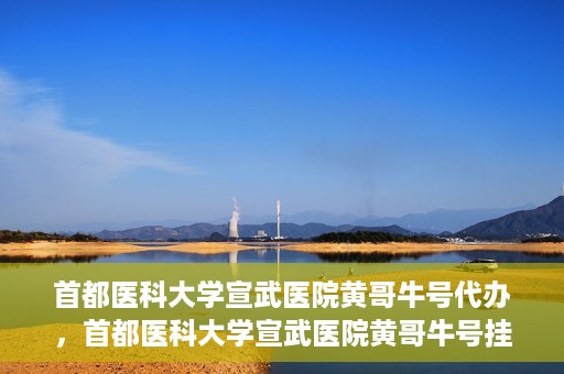 首都医科大学宣武医院黄哥牛号代办，首都医科大学宣武医院黄哥牛号挂号代办攻略