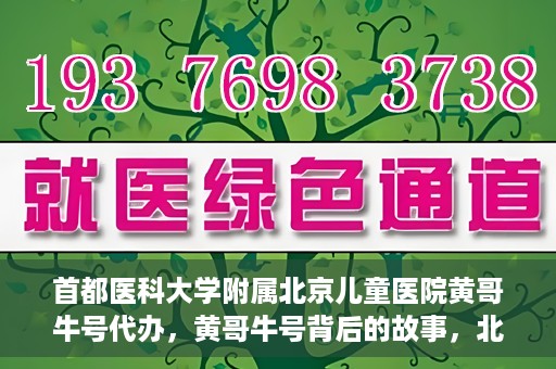 首都医科大学附属北京儿童医院黄哥牛号代办，黄哥牛号背后的故事，北京儿童医院名医背后的故事与探索。