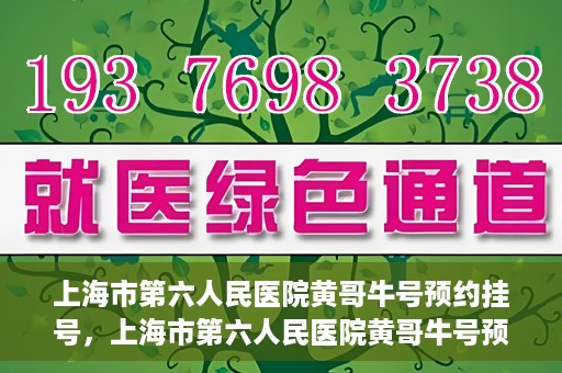 上海市第六人民医院黄哥牛号预约挂号，上海市第六人民医院黄哥牛号预约挂号攻略，轻松挂号，便捷就医体验