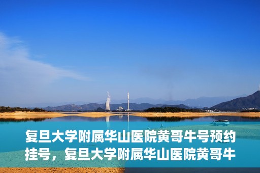 复旦大学附属华山医院黄哥牛号预约挂号，复旦大学附属华山医院黄哥牛号预约挂号攻略详解