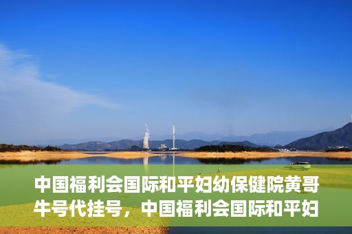 中国福利会国际和平妇幼保健院黄哥牛号代挂号，中国福利会国际和平妇幼保健院黄哥牛号挂号攻略