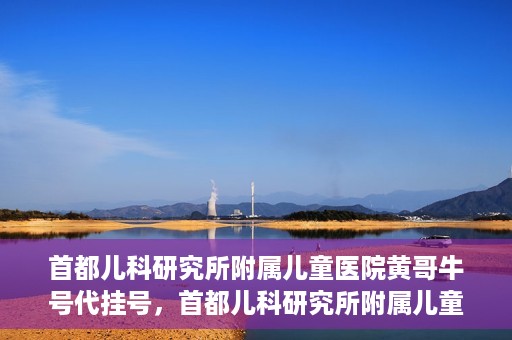 首都儿科研究所附属儿童医院黄哥牛号代挂号，首都儿科研究所附属儿童医院黄哥牛号——便捷挂号新体验
