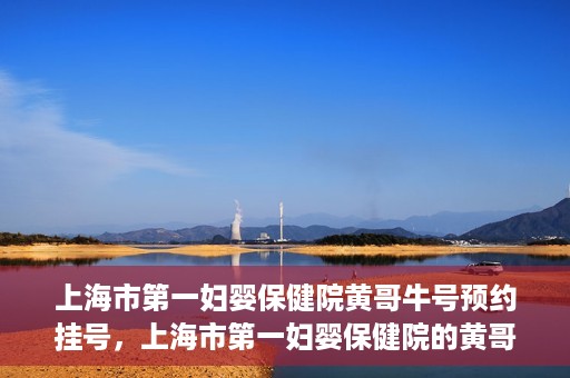 上海市第一妇婴保健院黄哥牛号预约挂号，上海市第一妇婴保健院的黄哥牛号预约挂号攻略