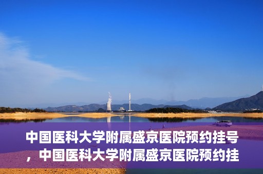中国医科大学附属盛京医院预约挂号，中国医科大学附属盛京医院预约挂号指南，一站式解决您的挂号难题