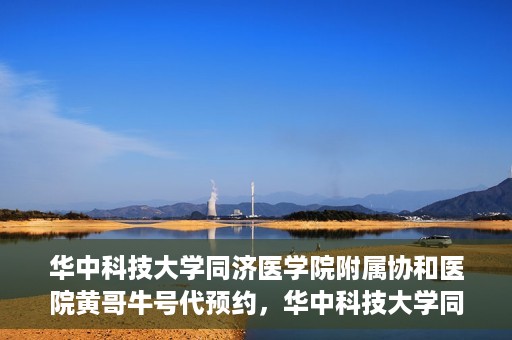 华中科技大学同济医学院附属协和医院黄哥牛号代预约，华中科技大学同济医学院附属协和医院预约服务揭秘，黄哥牛号代预约解析