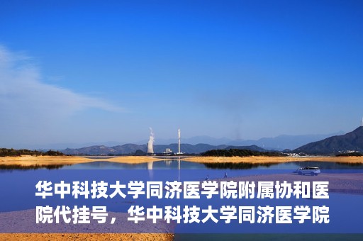 华中科技大学同济医学院附属协和医院代挂号，华中科技大学同济医学院附属协和医院代挂号服务详解