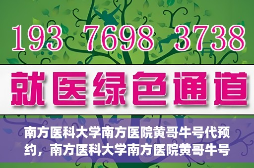 南方医科大学南方医院黄哥牛号代预约，南方医科大学南方医院黄哥牛号预约服务解析