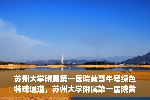 苏州大学附属第一医院黄哥牛号绿色特殊通道，苏州大学附属第一医院黄哥牛号，绿色特殊通道的守护力量